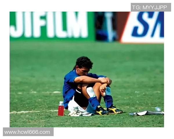 球星足球狗：赛场上最具活力与智慧的四脚传奇